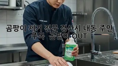 곰팡이 제거 전문, 경산시 내동 주민 주목! 🏡 곰팡이 OUT!